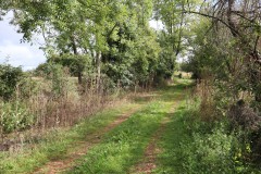 IMG_0654