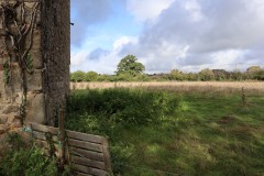 IMG_0659