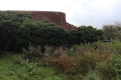 IMG_0661