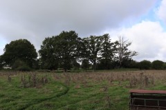 IMG_0678