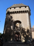IMG_2010