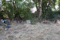 IMG_1611