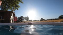 DJI_0713