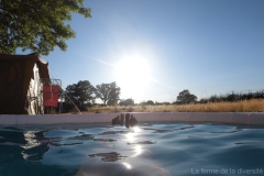 Het franse leven