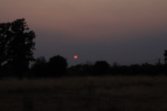 IMG_1850