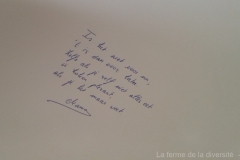 Kokkerellen met Livinus