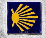 Moderne-Jacobsschelp-©-AntA3nio-Duarte