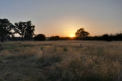 Natuur, landbouw en tuin