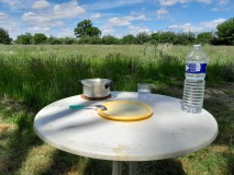 1000018166