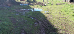afbeelding_2026-02-07_221101274