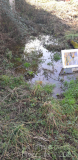 afbeelding_2026-02-07_221137044
