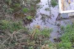 afbeelding_2026-02-07_221137044